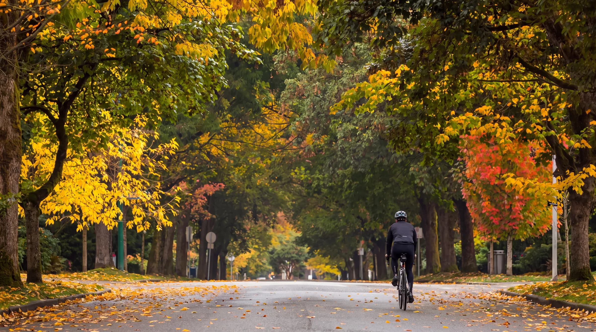 Cyclist on a leafy West Side residential street under an autumn tree canopy